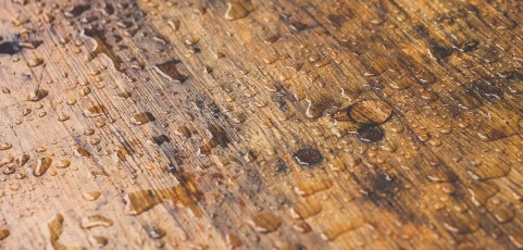Oleje do drewna – co powinniśmy o nich wiedzieć?