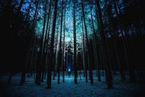 latarka w ciemnym lesie